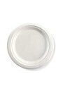 White Bagasse Plate #EC700018800
