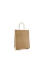 Brown Paper Bag with Handle #EC112050000