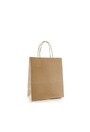 Brown Paper Bag with Handle #EC112051100