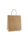 Brown Paper Bag with Handle #EC112661800