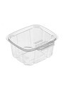 Sécurité Recyclable Plastic Clear Container #EC419511600