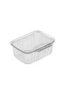 Sécurité Recyclable Plastic Clear Container #EC419513200