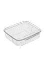 Sécurité Recyclable Plastic Clear Container #EC419514800