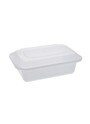Rectangular Recyclable and Reusable Plastic Container with Lid #EC450552600