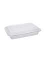Rectangular Recyclable and Reusable Plastic Container with Lid #EC450552700