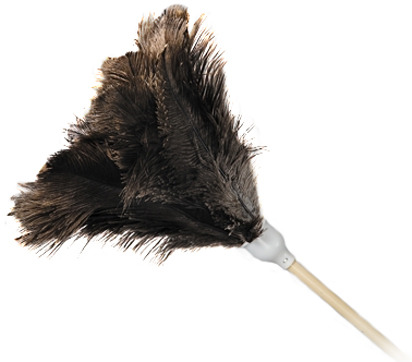 Ostrich Feather Dusting Tool with Fixed Handle 24" #MR001224000