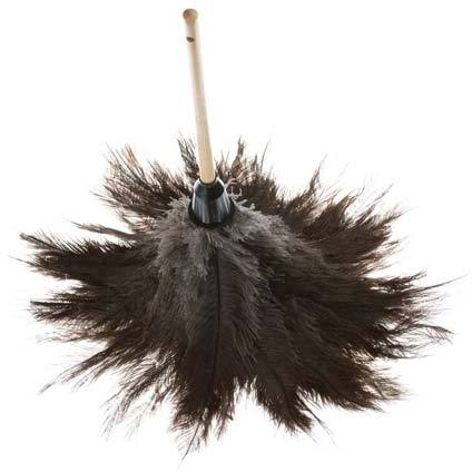 Ostrich Feathers Duster with Wood Handle #AG000297000