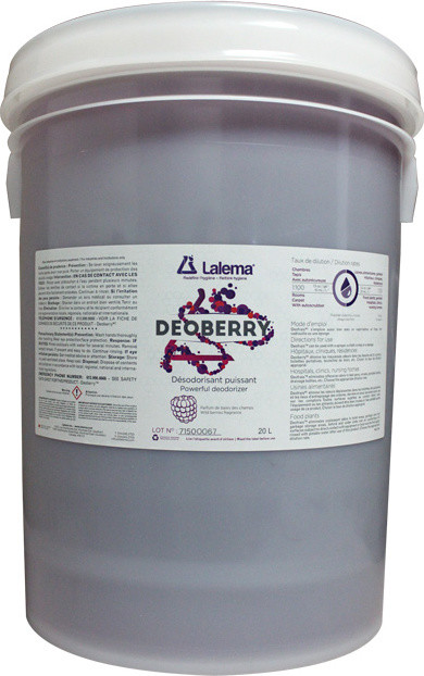 DEOBERRY Désodorisant au parfum de baies des champs #LM00715020L