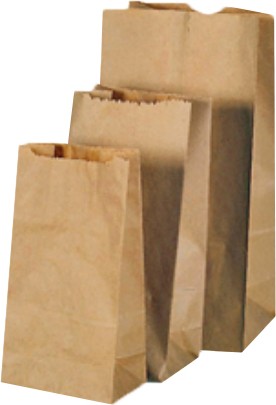 Sacs en papier de style Kraft (3 lbs) #SCBSK003000