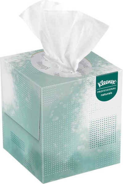 Mouchoir kleenex 2 plis tork (x100)