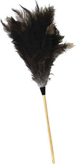 Plumeau économique en plumes d'autruche #WH004603000 Plumeau économique en plumes d'autruche #WH004603000