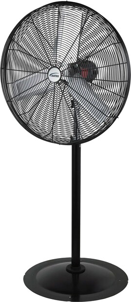 Oscillating Pedestal Fan, 3 Speeds, 30" Diameter #TQ0EA666000