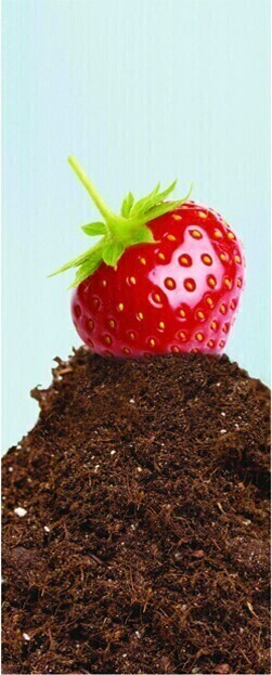 Autocollant "Matières Organiques" pour station Multiplus #NICOMPPO87L Autocollant "Matières Organiques" pour station Multiplus #NICOMPPO87L