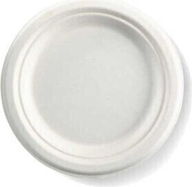 Assiette en bagasse blanche #EC700018700