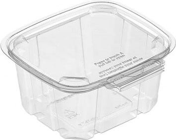 Sécurité Recyclable Plastic Clear Container #EC419511600