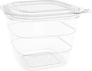 Recyclable Hinged Container with Flat Lid #EC420755200 Recyclable Hinged Container with Flat Lid #EC420755200