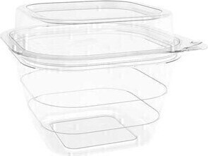 Recyclable Hinged Container with Dome Lid #EC420755400