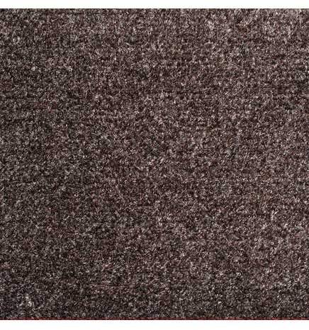 PROLUXE Tapis essuie-pieds pour trafic léger #MT6M31028