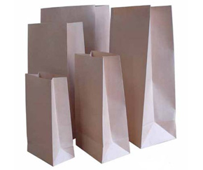 Que ce soit des sacs d'emballage en plastique ou en papier Arteau à la solution pour vous. Arteau vous offre des sacs de qualité adapté à vos besoins.